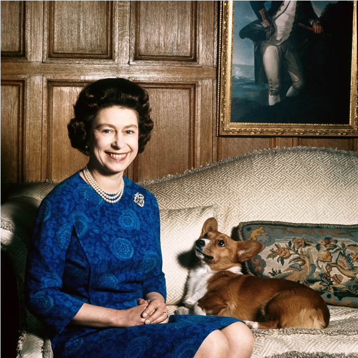 The Last Corgi For A Queen - Queen Elizabeth Ii Corgi (800x800), Png Download