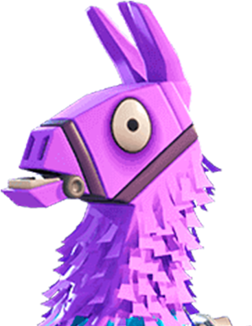 Home - Llama I Can Explain (500x500), Png Download