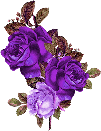 Blue Rose Png - Transparent Background Rose Png (600x600), Png Download