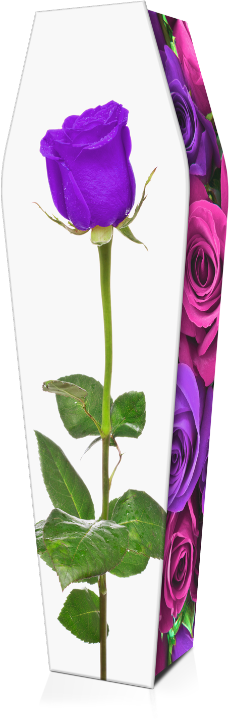 Expression Cofins - Rosa Roja Fondo Blanco (1037x1549), Png Download