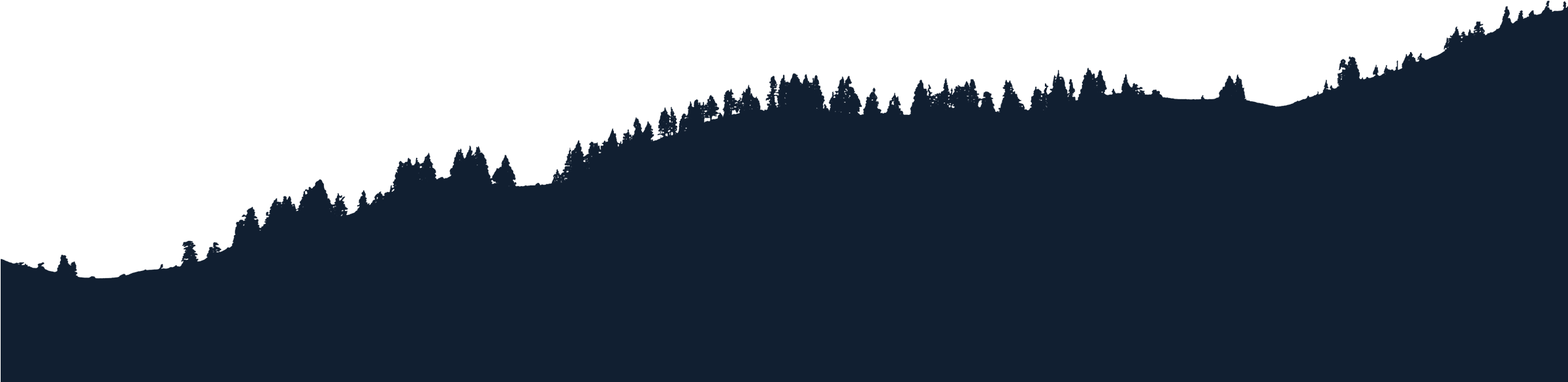 Is Religion Opposed To Science - Shortleaf Black Spruce (2400x1644), Png Download