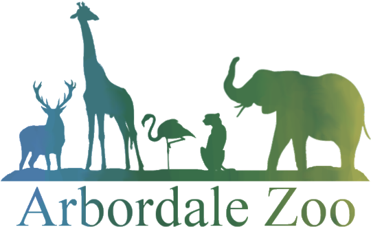 Next To Panda Mountain And Visible From The Indoor - Arbordale Zoo (540x330), Png Download