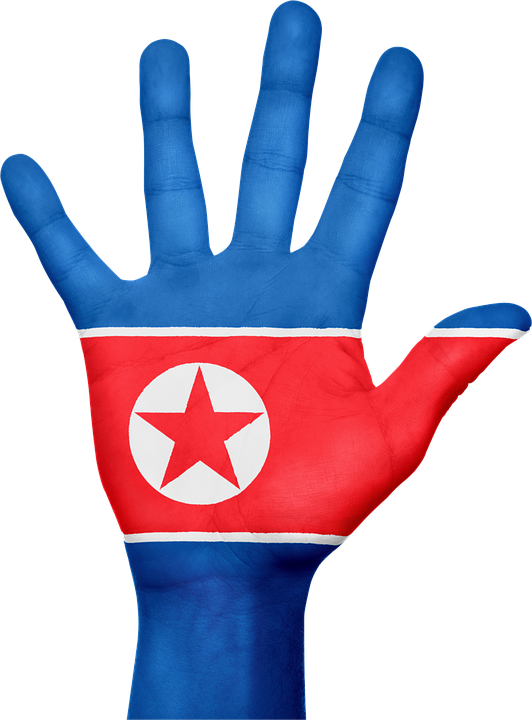 The Kim Family Has Ruled North Korea Since Its Formation - North Korea Hand (532x720), Png Download