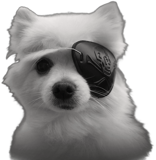 Gabe The Dog Eyepatch - Gabe The Dog Png (800x600), Png Download