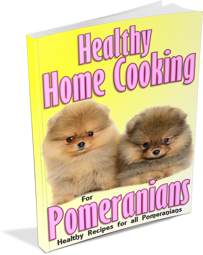 Feeding Your Pomeranian Archives - Pomeranian (693x872), Png Download