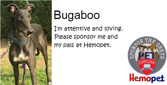 Sponsor The Hemopet Greyhounds - Sponsor (600x300), Png Download