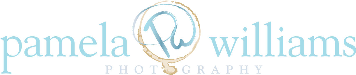 Photography (1247x278), Png Download