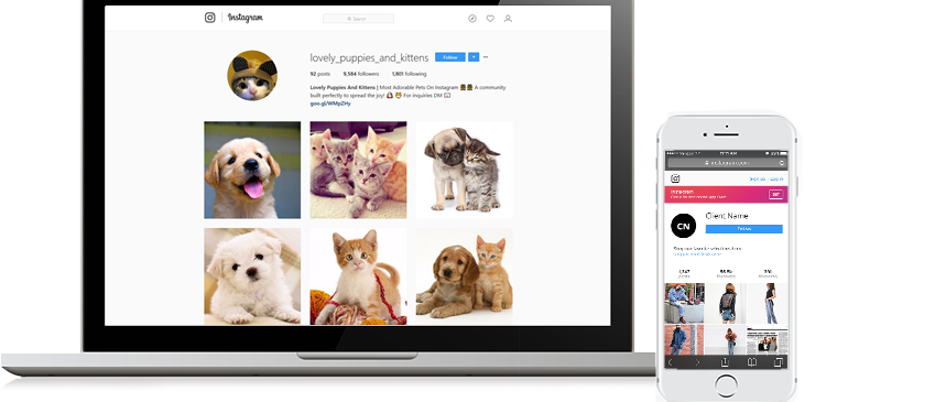 Are You Looking To Get More Real And Active Followers - Photographic Print: Golden Cocker Spaniel Puppy With (849x365), Png Download