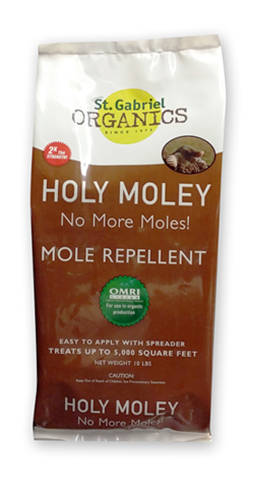 Holey Moley - Cappuccino (485x650), Png Download