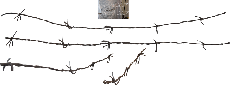 Barbed Wire Png - Barbed Wire (1024x387), Png Download