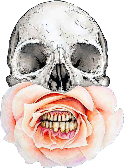 Skull, Flowers, And Rose Image - Skulls Flowers (500x647), Png Download