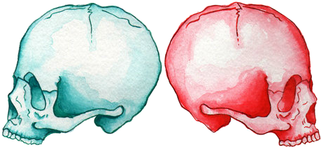 Skulls Http - //25 - Media - Tumblr - Com/d0192d2bf9d7 - Drawing (500x286), Png Download