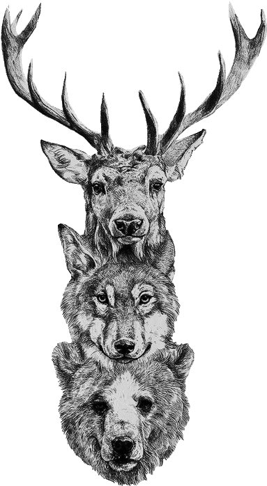 Free Deer Skull Png - Deer Wolf Bear Tattoo (500x750), Png Download