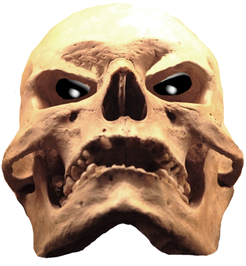 Cool Skull - Evil Skull Png (391x413), Png Download