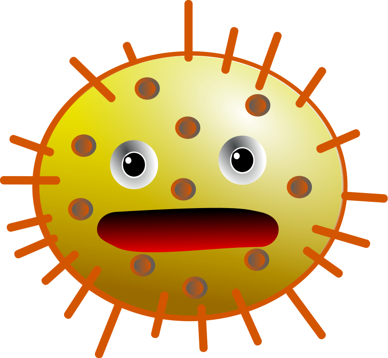 Clip Art Bacteria - Bacteria Clipart Png (800x738), Png Download