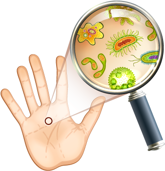 Seems Human, Right Look At It With A Microscope, Though, - Bacteria In Your Hand (400x400), Png Download