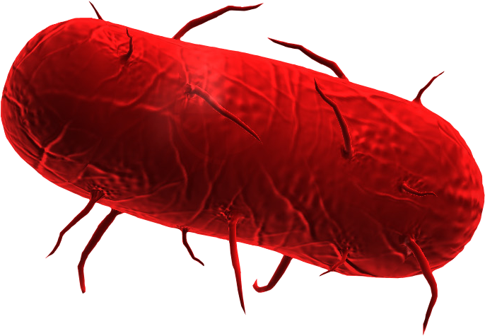 Plague Inc Bacteria - Plague Inc. (860x636), Png Download