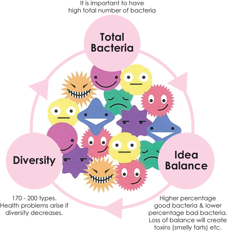 Image Free Stock Importance Of Good Biogenics What - Good Bacteria Cartoon (811x789), Png Download