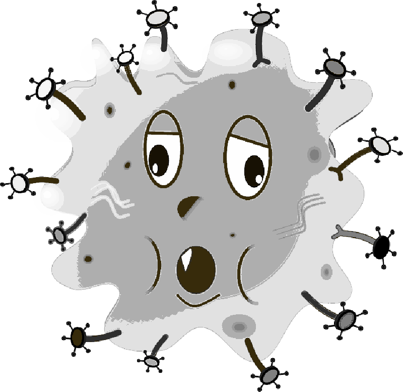 Free Png Germs Images Pluspng Pluspngcom Mb - Germ Clip Art (800x777), Png Download