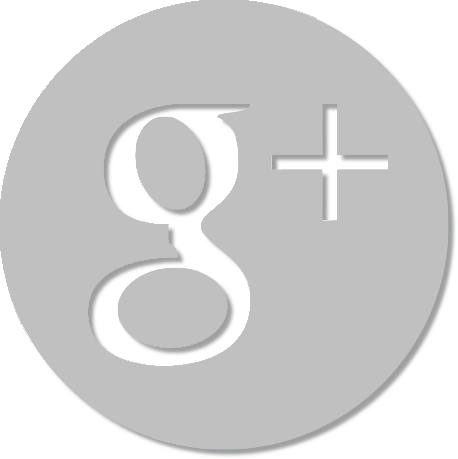 Smdr International On Twitter - Google Plus Gray Png (458x459), Png Download