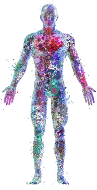 Human Virome (348x628), Png Download