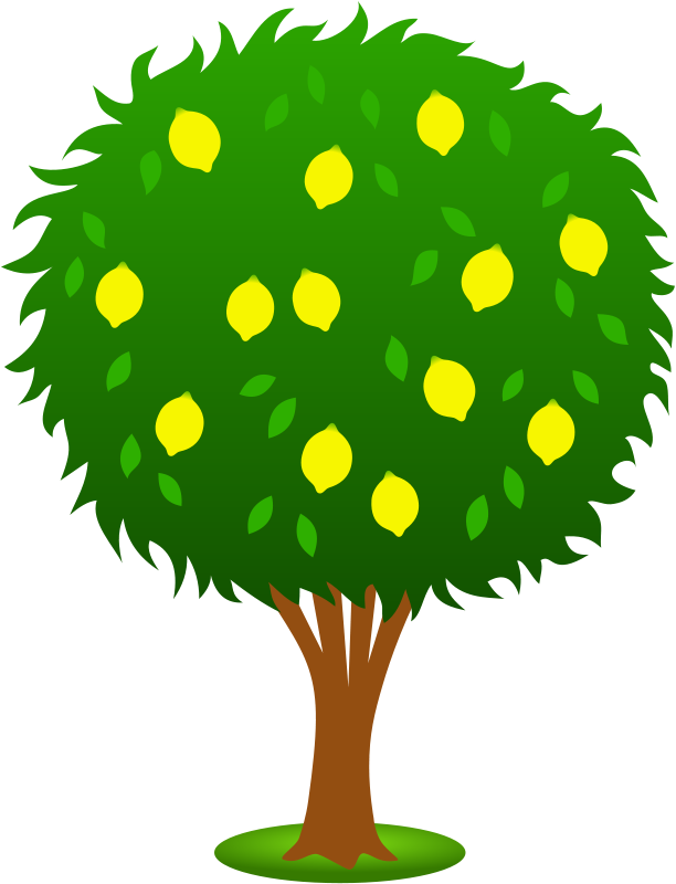How To Lighten Skin With Lemon, Honey, Milk, Tumeric - Apple Tree With Ten Apples (612x800), Png Download