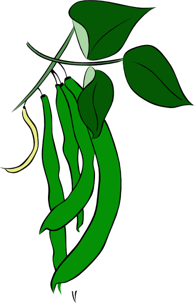 Green Beans Clipart - Green Bean Clip Art (384x599), Png Download