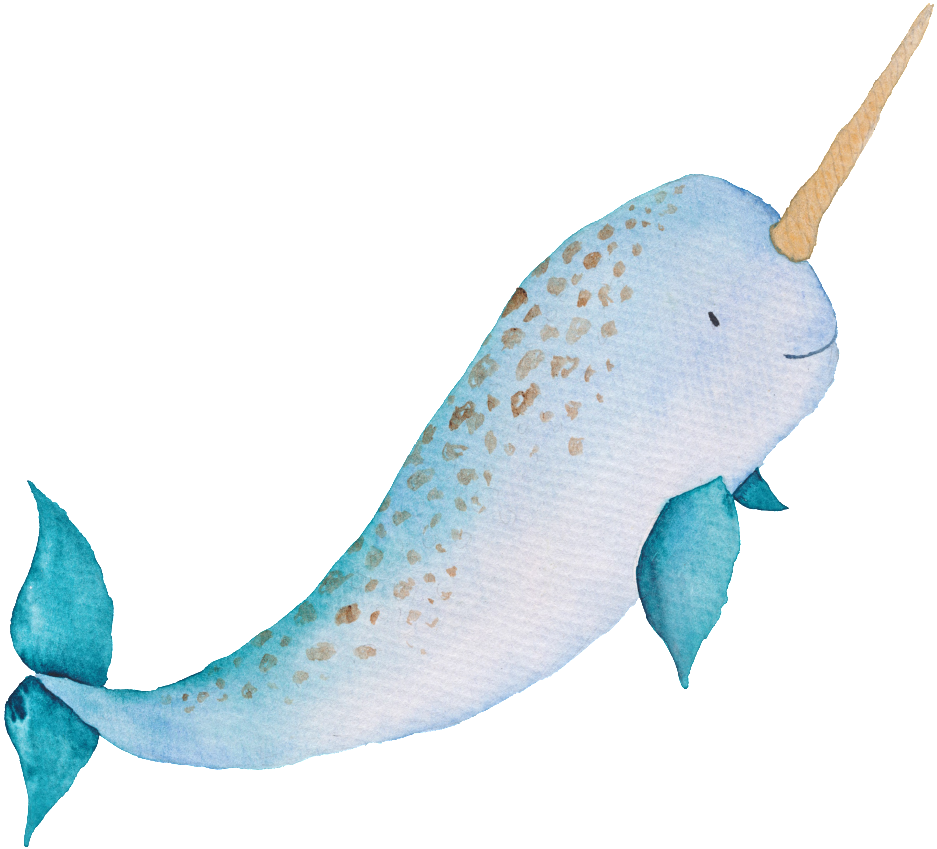 Dibujo Acuarela Pintada A Mano Png Unicornio Azul - Narwhal Illustrated (1024x1024), Png Download