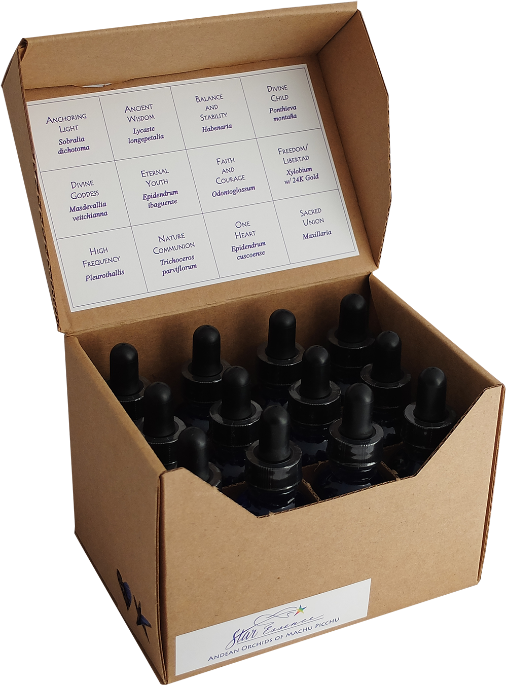 Original 12 Andean Orchids - Orchids (1500x1500), Png Download