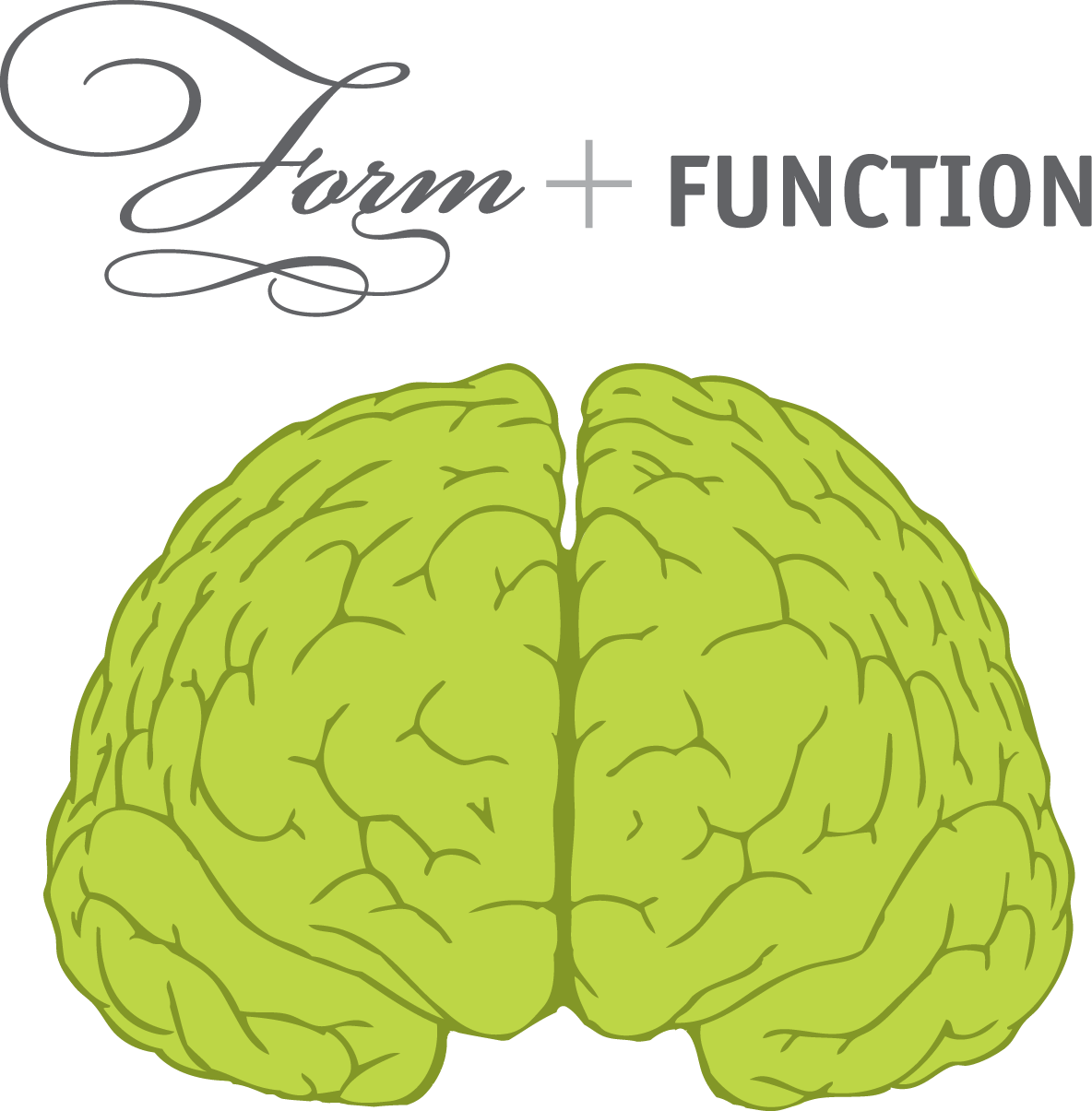 Boom Shaka - Brain Front View (1184x1205), Png Download