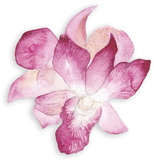 Displays, Seminars And Sales - South Coast Plaza (1200x768), Png Download