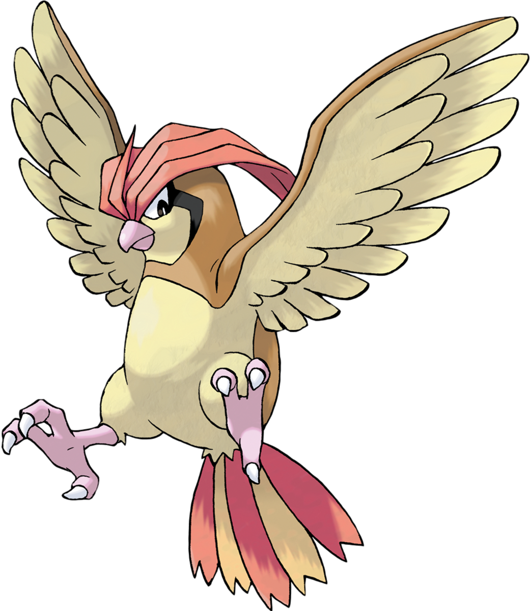 Pidgeotto - Pokemon Pidgeotto (1200x1200), Png Download