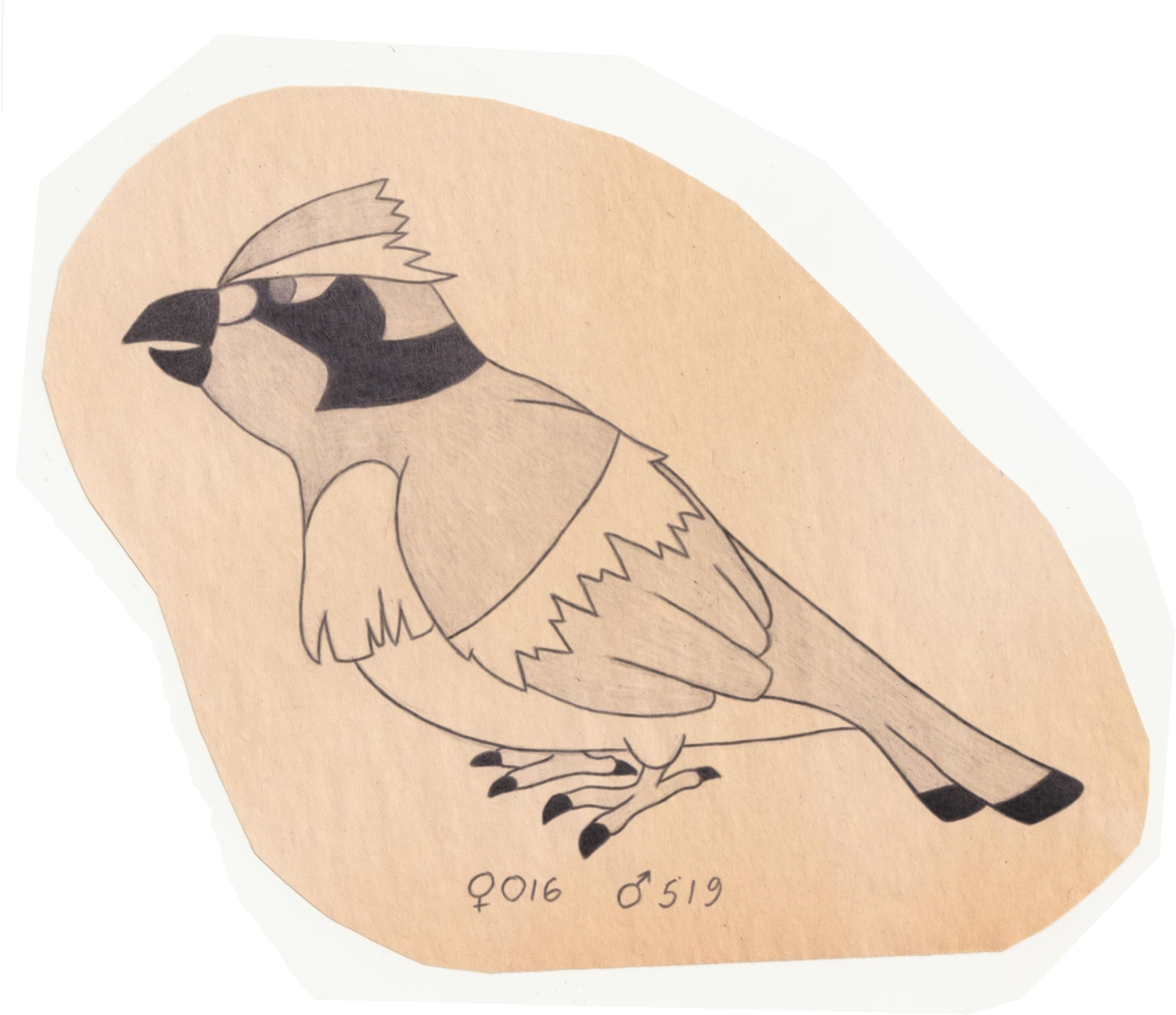 Clip Art Free Library The Pokemon Ornithologist Pidgey - Drawing (1280x1140), Png Download