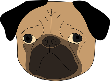 The Pug Puppy Dog Cute Animal Dog Dog Dog - Dog Face Transparent Background (461x340), Png Download