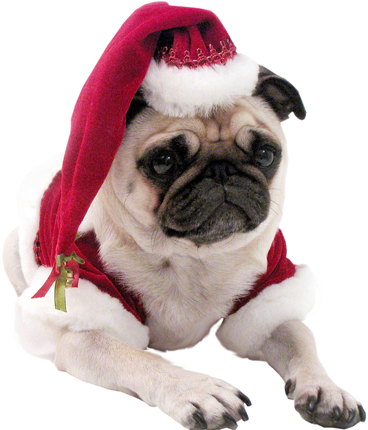 Pug Head Png - Christmas Pug Dog T Shirt (624x624), Png Download