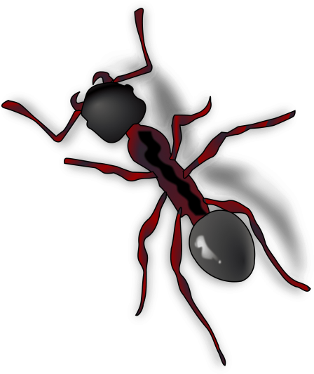 Free Png Ant Png Images Transparent - Ant Clip Art (480x565), Png Download