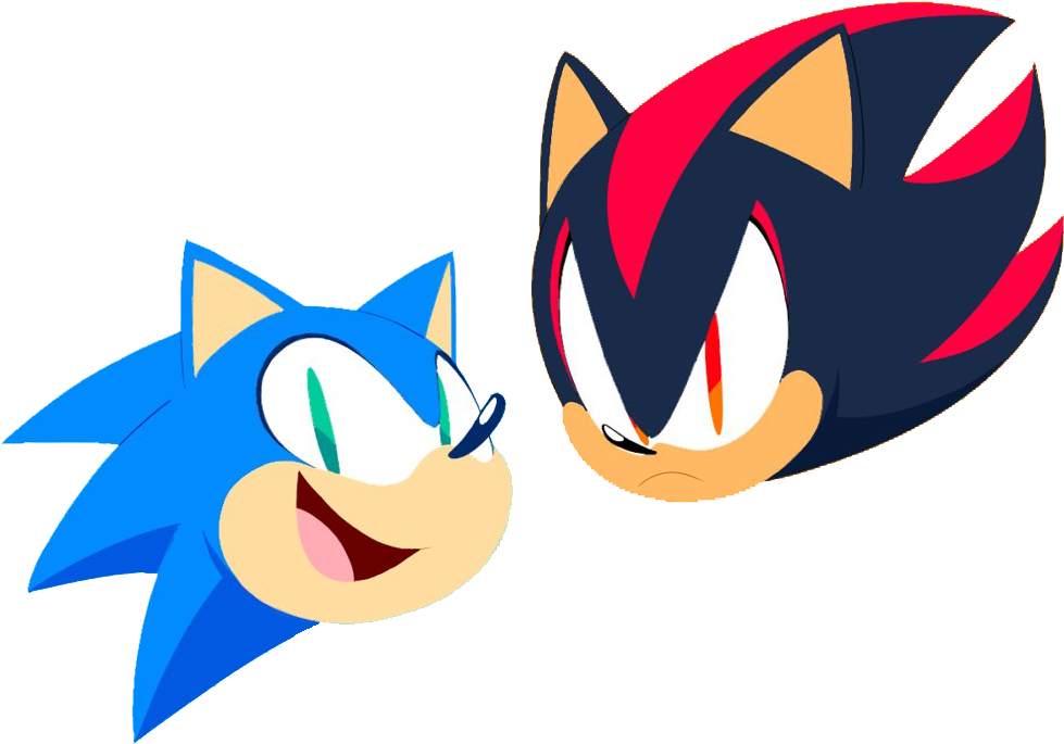Report Abuse - Sonic The Hedgehog (1000x700), Png Download