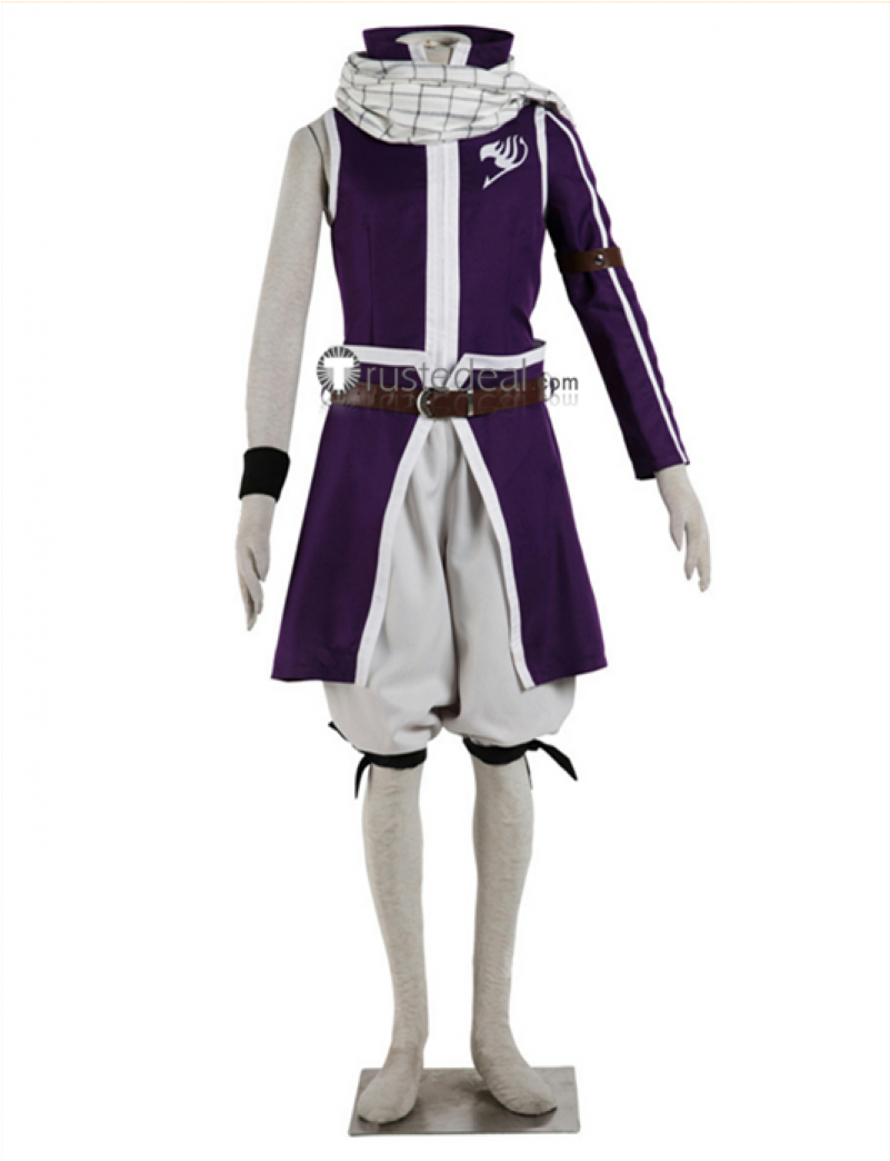 Fairy Tail Erza Gray Natsu Lucy Elfman Wendy Grand - Natsu Kids Costume (800x1200), Png Download
