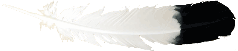 Feather - Png Transparent Indian Feathers (814x180), Png Download