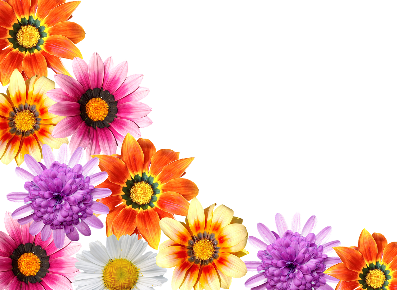 Flowers Summer Garden - Stock.xchng (1280x934), Png Download