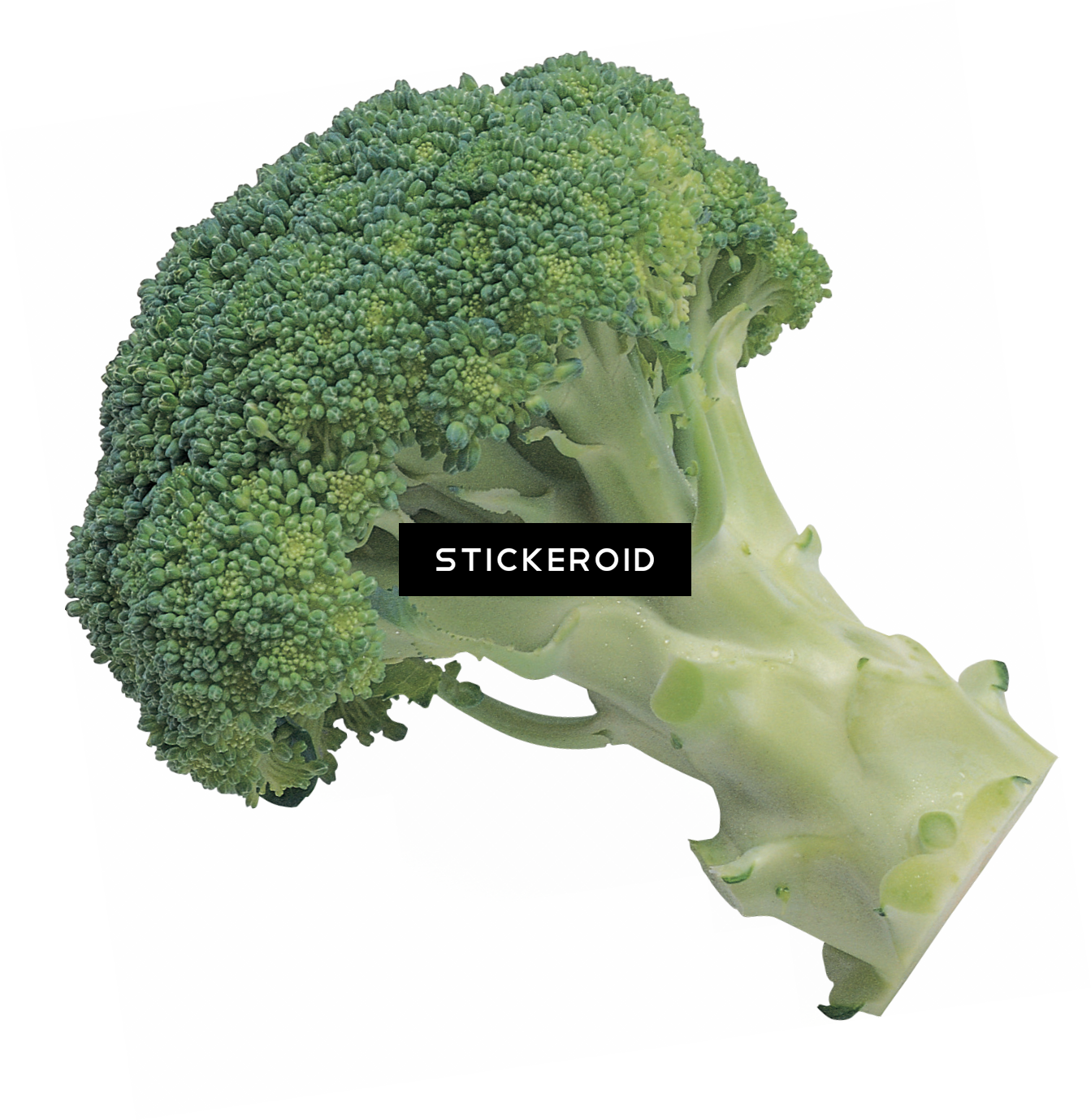 Broccoli - Broccoli Transparent Background (1343x1379), Png Download