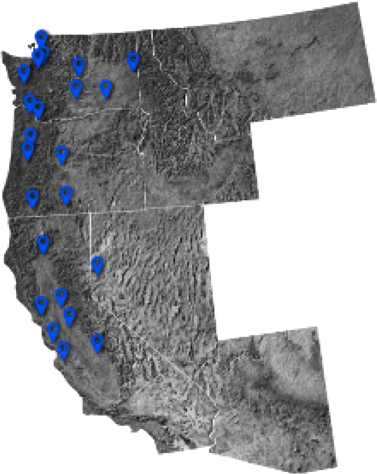 Pepe Poggers Png Discord Emoji - Number (1400x976), Png Download