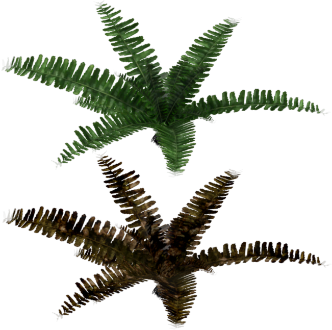 Download Zip Archive - Fir (750x650), Png Download