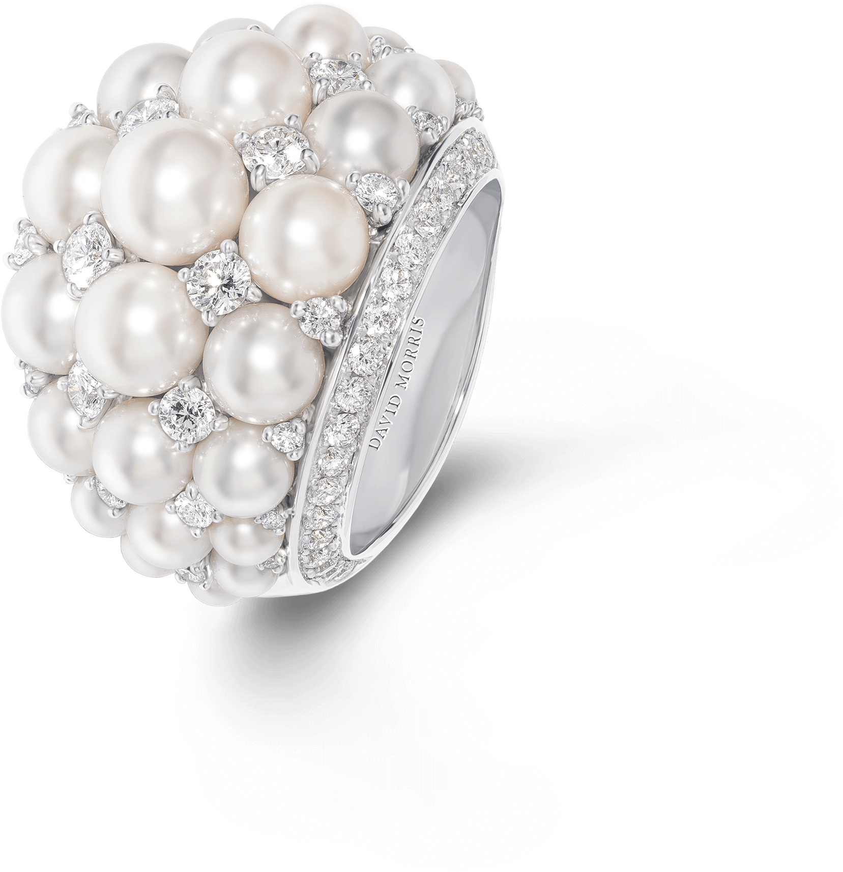Pearl Deco Ring Akoya Pearl - Pearl (3400x3400), Png Download