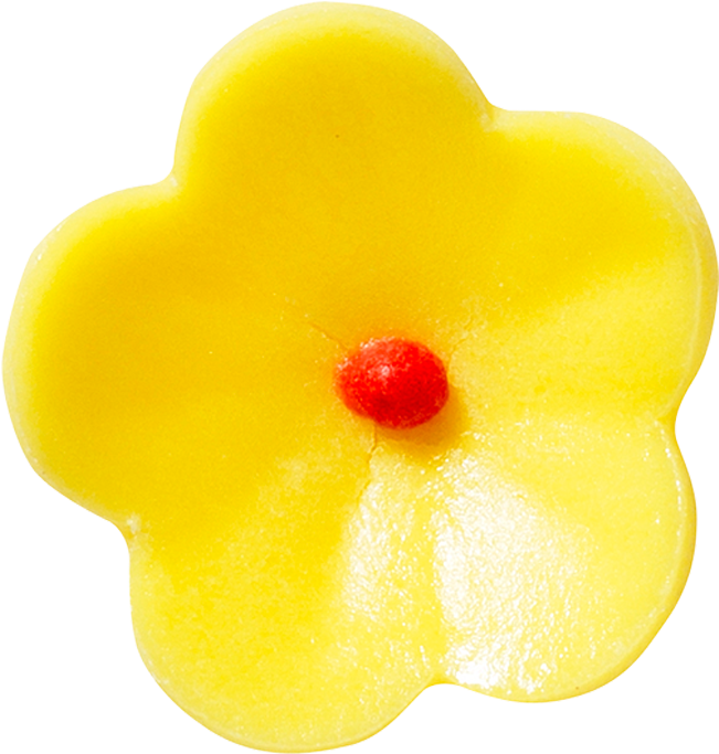 Almond (1000x1000), Png Download