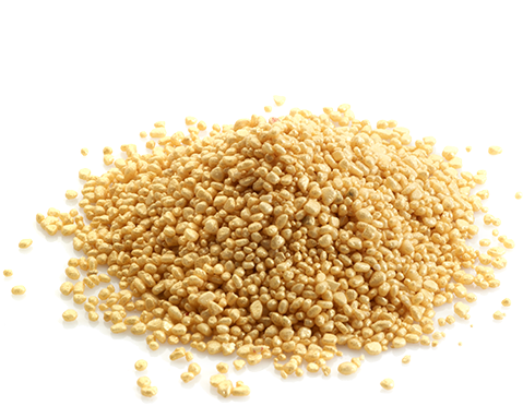 Gold - Mustard Seeds (500x500), Png Download