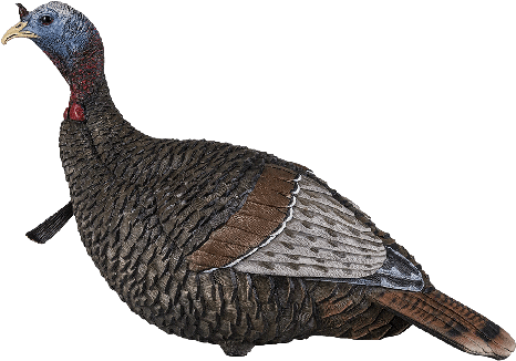 Flextone 1/4-strut Thunder Jake Decoy (700x350), Png Download