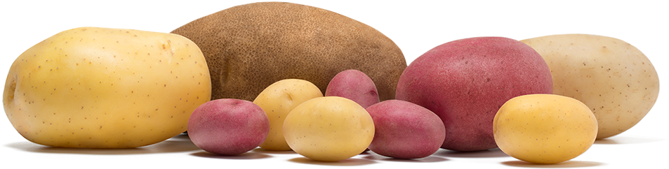 Potato (960x250), Png Download