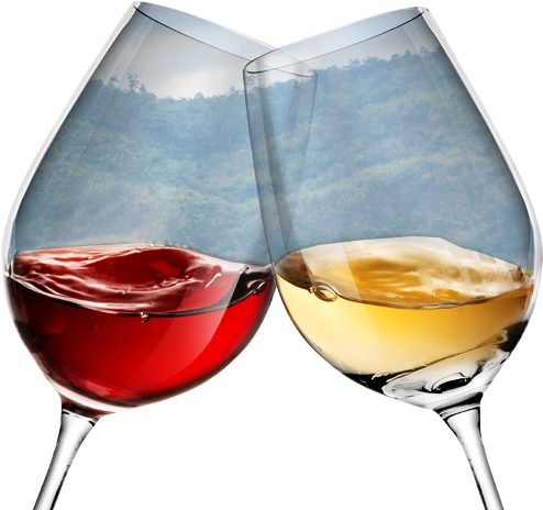 Previous Item Glasses-back Next Item Cork Back - Wine Thermometer Best Gift Accessory For Any Enthusiast (552x565), Png Download