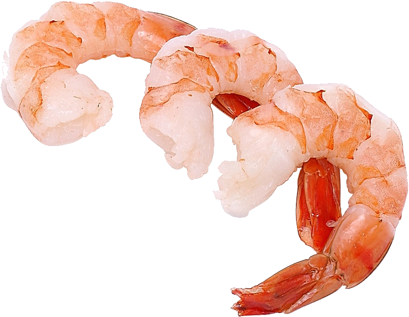 Shrimps Png - Shrimp Transparent (796x617), Png Download
